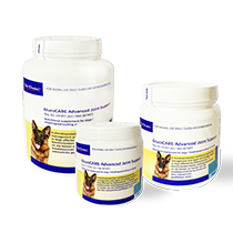 Recommended glucosamine for dogs 2025